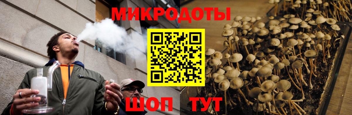 Псилоцибиновые грибы мицелий Южно-Сахалинск