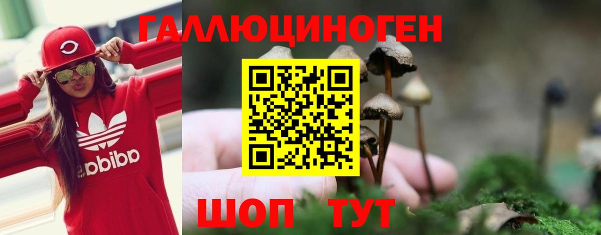 Галлюциногенные грибы Cubensis  Вход с VPN  Южно-Сахалинск 